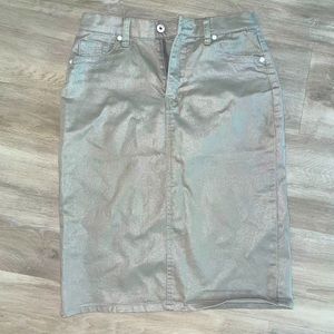 Metallic Silver Skirt